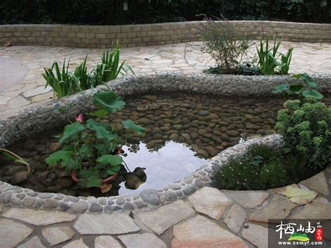 庭院水池